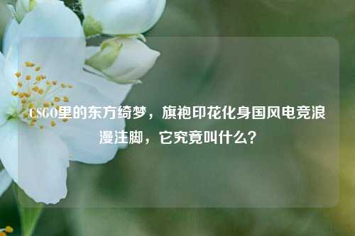CSGO里的东方绮梦,旗袍印花化身国风电竞浪漫注脚,它究竟叫什么?