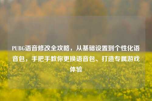 PUBG语音修改全攻略,从基础设置到个性化语音包,手把手教你更换语音包、打造专属游戏体验