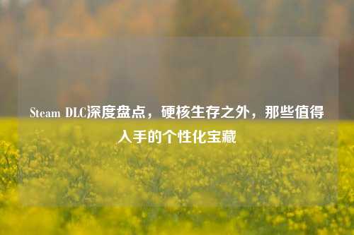 Steam DLC深度盘点,硬核生存之外,那些值得入手的个性化宝藏