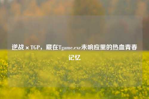 逆战×TGP,藏在Tgame.exe未响应里的热血青春记忆