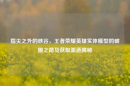 指尖之外的峡谷,王者荣耀英雄实体模型的破圈之路及获取渠道揭秘