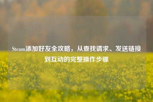 Steam添加好友全攻略,从查找请求、发送链接到互动的完整操作步骤