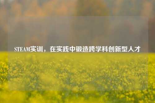 STEAM实训，在实践中锻造跨学科创新型人才