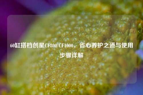60缸搭档创星CF800/CF1000,省心养护之道与使用步骤详解