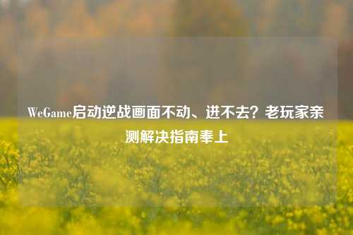 WeGame启动逆战画面不动、进不去?老玩家亲测解决指南奉上