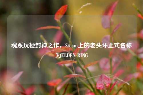 魂系玩梗封神之作,Steam上的老头环正式名称为ELDEN RING