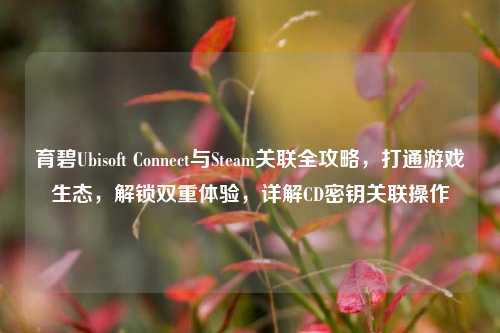 育碧Ubisoft Connect与Steam关联全攻略，打通游戏生态，解锁双重体验，详解CD密钥关联操作