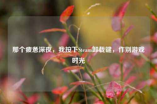 那个疲惫深夜,我按下Steam卸载键,作别游戏时光
