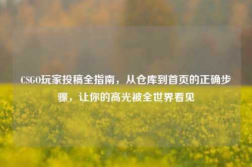 CSGO玩家投稿全指南,从仓库到首页的正确步骤,让你的高光被全世界看见