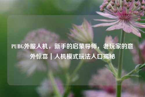 PUBG外服人机,新手的启蒙导师,老玩家的意外惊喜|人机模式玩法入口揭秘