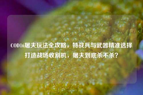 COD16屠夫玩法全攻略,特战兵与武器精准选择打造战场收割机,屠夫到底杀不杀?