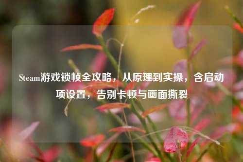 Steam游戏锁帧全攻略,从原理到实操,含启动项设置,告别卡顿与画面撕裂