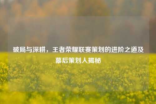 破局与深耕,王者荣耀联赛策划的进阶之道及幕后策划人揭秘