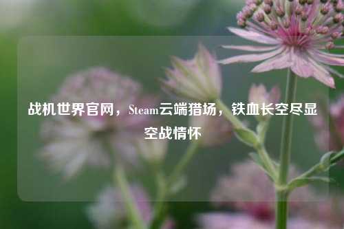 战机世界官网,Steam云端猎场,铁血长空尽显空战情怀