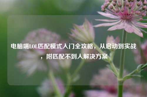 电脑端LOL匹配模式入门全攻略,从启动到实战,附匹配不到人解决方案
