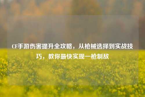 CF手游伤害提升全攻略，从枪械选择到实战技巧，教你最快实现一枪制敌