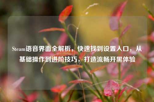 Steam语音界面全解析,快速找到设置入口,从基础操作到进阶技巧,打造流畅开黑体验