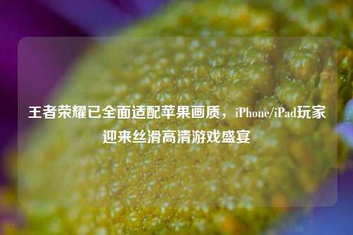 王者荣耀已全面适配苹果画质,iPhone/iPad玩家迎来丝滑高清游戏盛宴