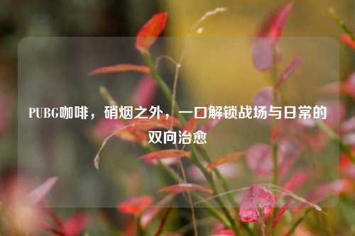 PUBG咖啡,硝烟之外,一口解锁战场与日常的双向治愈