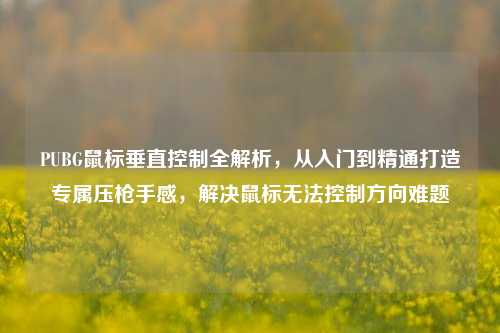 PUBG鼠标垂直控制全解析，从入门到精通打造专属压枪手感，解决鼠标无法控制方向难题