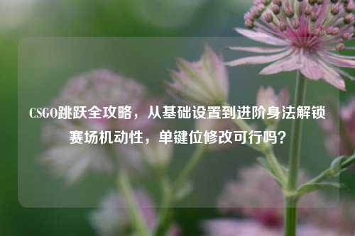 CSGO跳跃全攻略,从基础设置到进阶身法解锁赛场机动性,单键位修改可行吗?