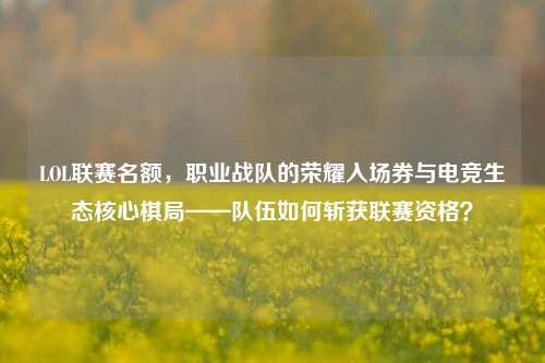 LOL联赛名额,职业战队的荣耀入场券与电竞生态核心棋局——队伍如何斩获联赛资格?