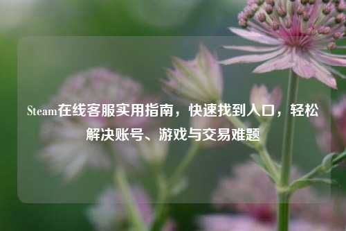 Steam在线客服实用指南,快速找到入口,轻松解决账号、游戏与交易难题