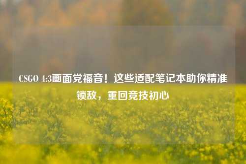 CSGO 4:3画面党福音！这些适配笔记本助你精准锁敌，重回竞技初心