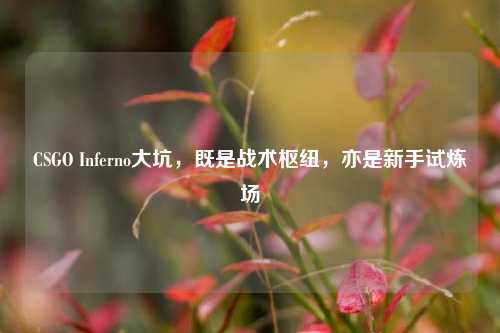 CSGO Inferno大坑,既是战术枢纽,亦是新手试炼场