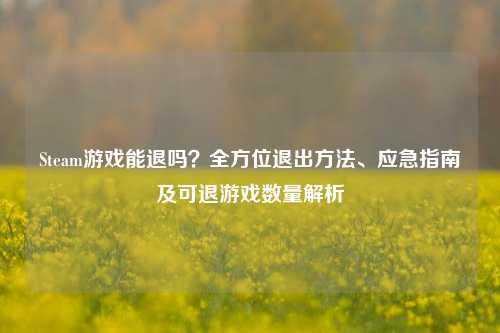 Steam游戏能退吗？全方位退出方法、应急指南及可退游戏数量解析