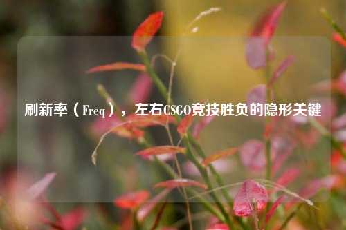 刷新率（Freq），左右CSGO竞技胜负的隐形关键
