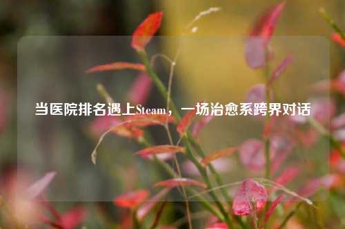当医院排名遇上Steam,一场治愈系跨界对话