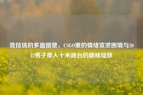 竞技场的多面图景,CSGO里的情绪宣泄困境与2012男子单人十米跳台的巅峰绽放