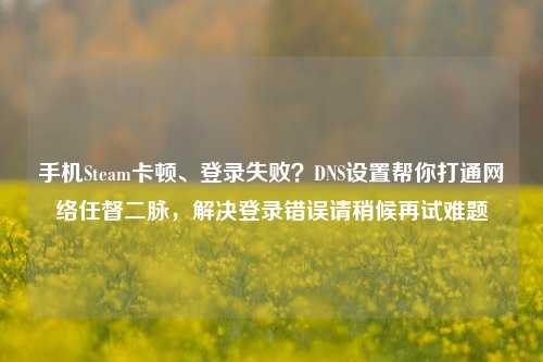 手机Steam卡顿、登录失败？DNS设置帮你打通网络任督二脉，解决登录错误请稍候再试难题