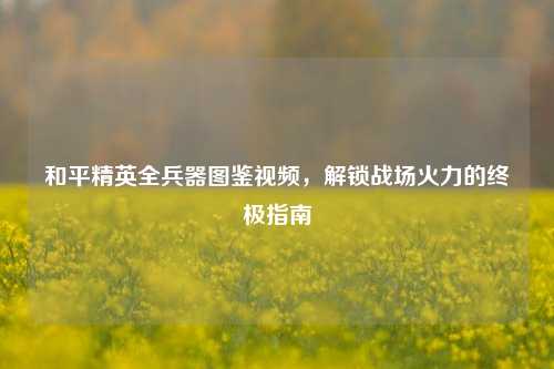 和平精英全兵器图鉴视频,解锁战场火力的终极指南