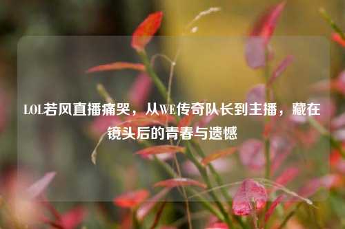 LOL若风直播痛哭,从WE传奇队长到主播,藏在镜头后的青春与遗憾