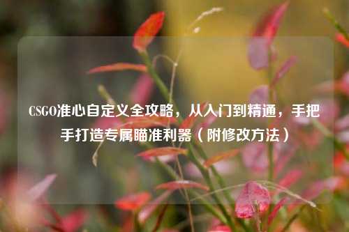 CSGO准心自定义全攻略,从入门到精通,手把手打造专属瞄准利器(附修改方法)