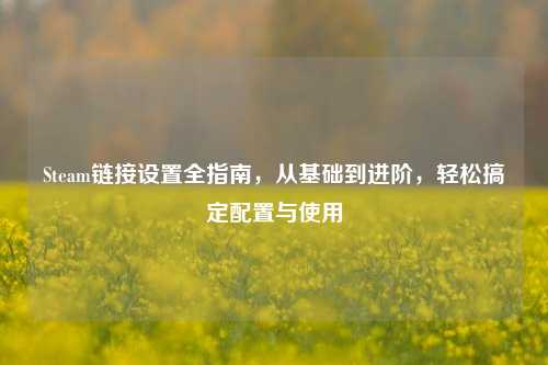Steam链接设置全指南，从基础到进阶，轻松搞定配置与使用