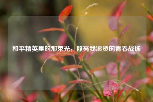 和平精英里的那束光,照亮我滚烫的青春战场