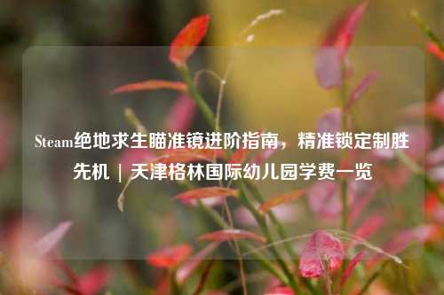 Steam绝地求生瞄准镜进阶指南,精准锁定制胜先机 | 天津格林国际幼儿园学费一览