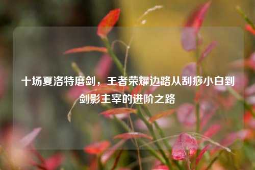 十场夏洛特磨剑，王者荣耀边路从刮痧小白到剑影主宰的进阶之路