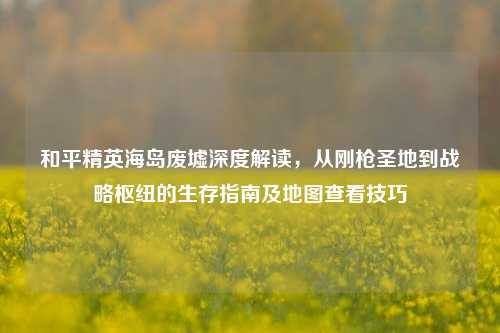 和平精英海岛废墟深度解读，从刚枪圣地到战略枢纽的生存指南及地图查看技巧
