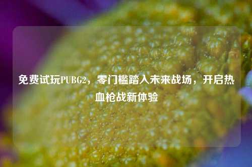 免费试玩PUBG2,零门槛踏入未来战场,开启热血枪战新体验