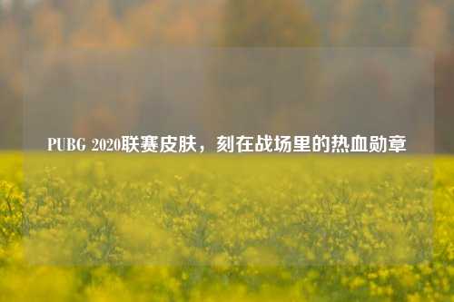PUBG 2020联赛皮肤，刻在战场里的热血勋章