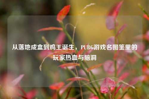 从落地成盒到鸡王诞生,PUBG游戏名图鉴里的玩家热血与脑洞