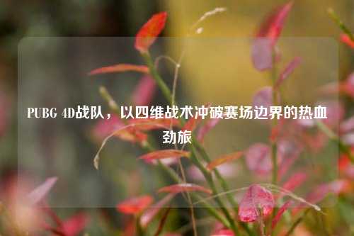 PUBG 4D战队,以四维战术冲破赛场边界的热血劲旅