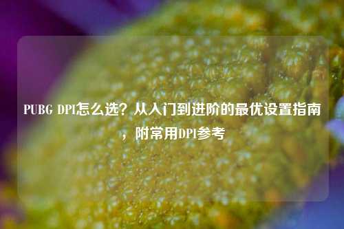 PUBG DPI怎么选?从入门到进阶的最优设置指南,附常用DPI参考