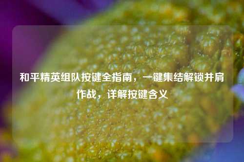 和平精英组队按键全指南,一键集结解锁并肩作战,详解按键含义