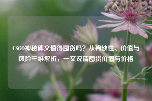 CSGO神秘碑文值得囤货吗?从稀缺性、价值与风险三维解析,一文说清囤货价值与价格
