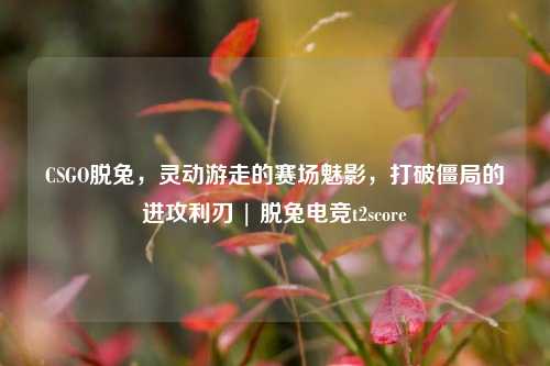 CSGO脱兔,灵动游走的赛场魅影,打破僵局的进攻利刃 | 脱兔电竞t2score